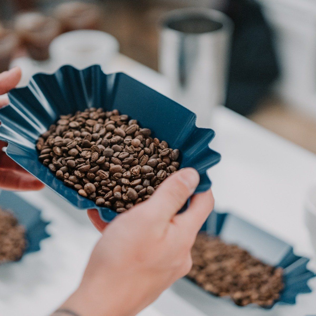 Rhino Bean Tray Blue - Single